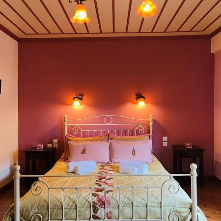 Hotel Giagia Evgenia à Vitsa Extérieur photo