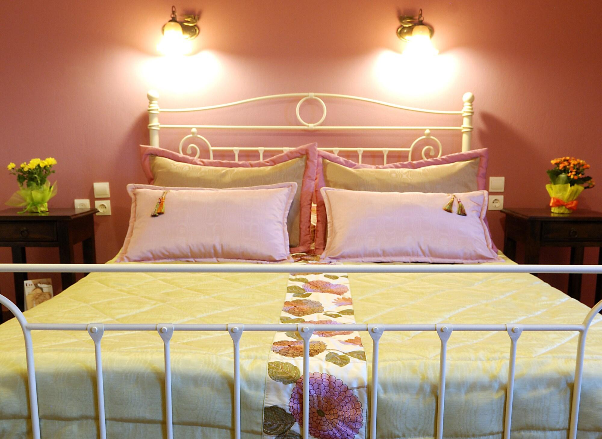 Hotel Giagia Evgenia à Vitsa Extérieur photo