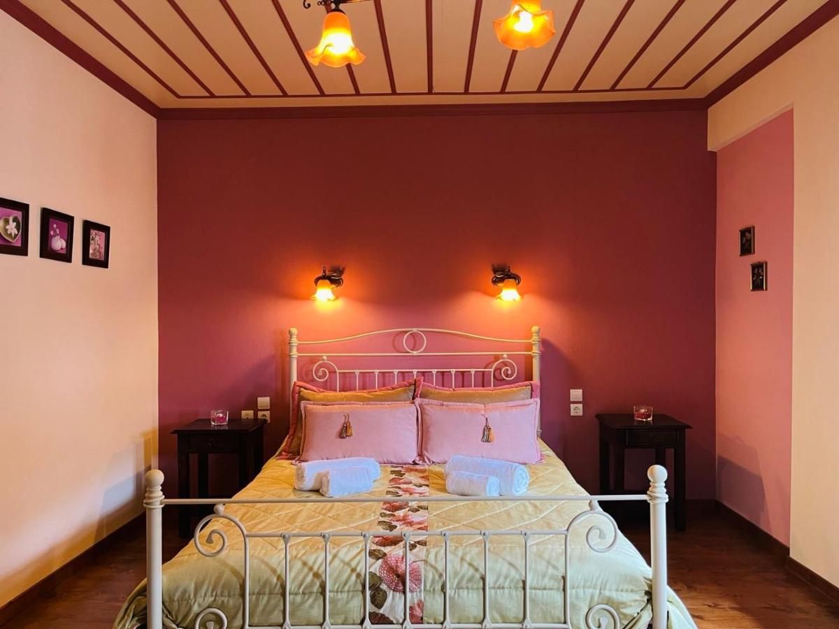 Hotel Giagia Evgenia à Vitsa Extérieur photo